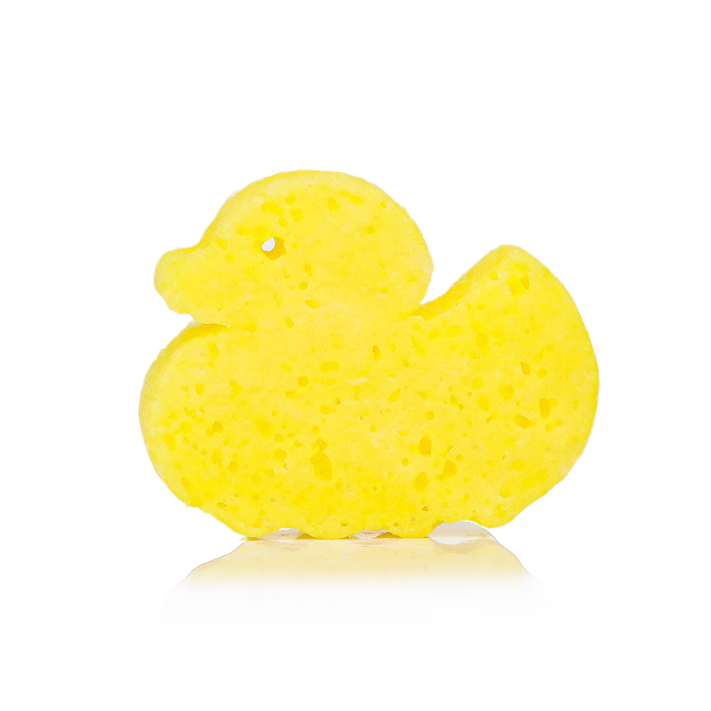 Danny the Duck: Spongelle