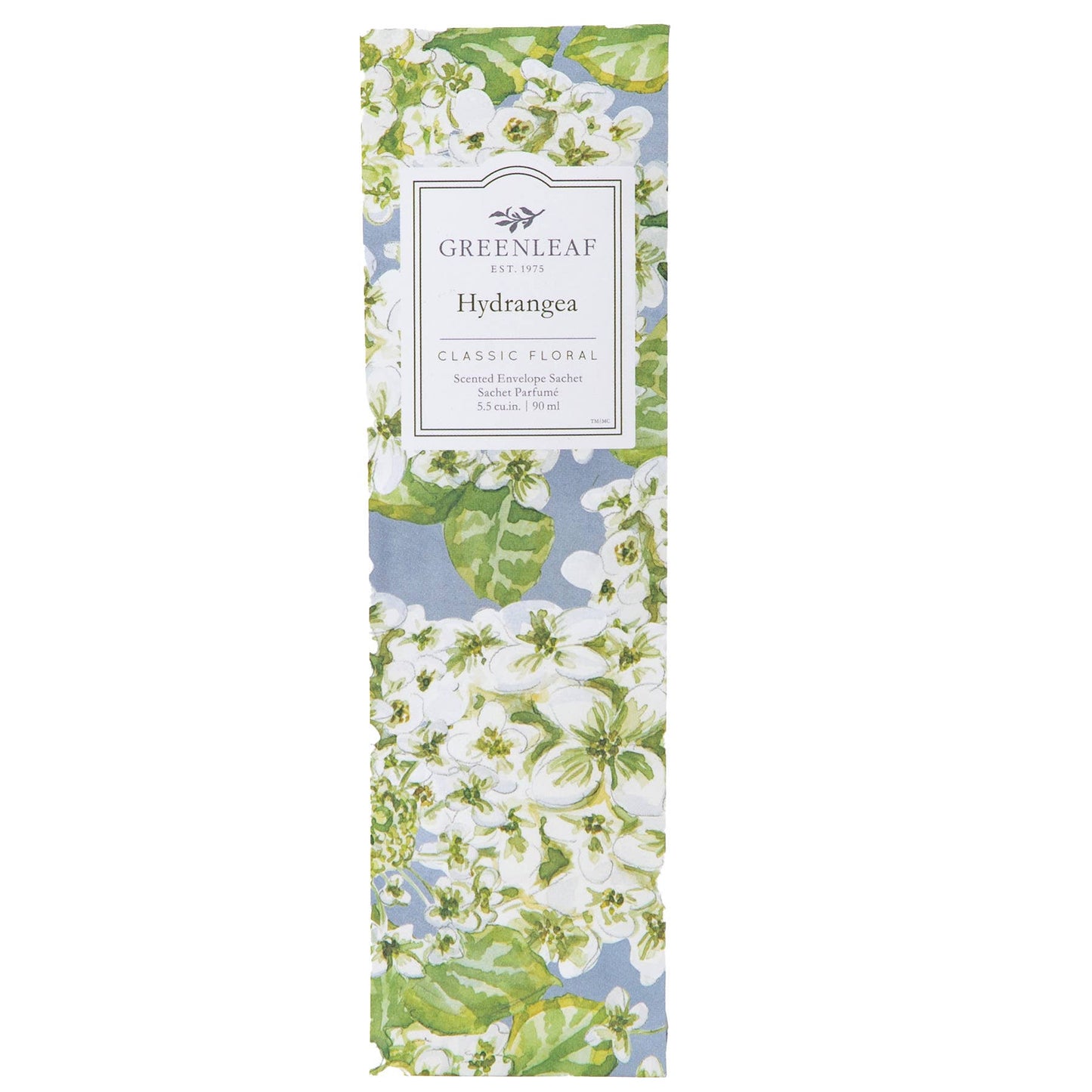 Greenleaf: Hydrangea Slim Sachet