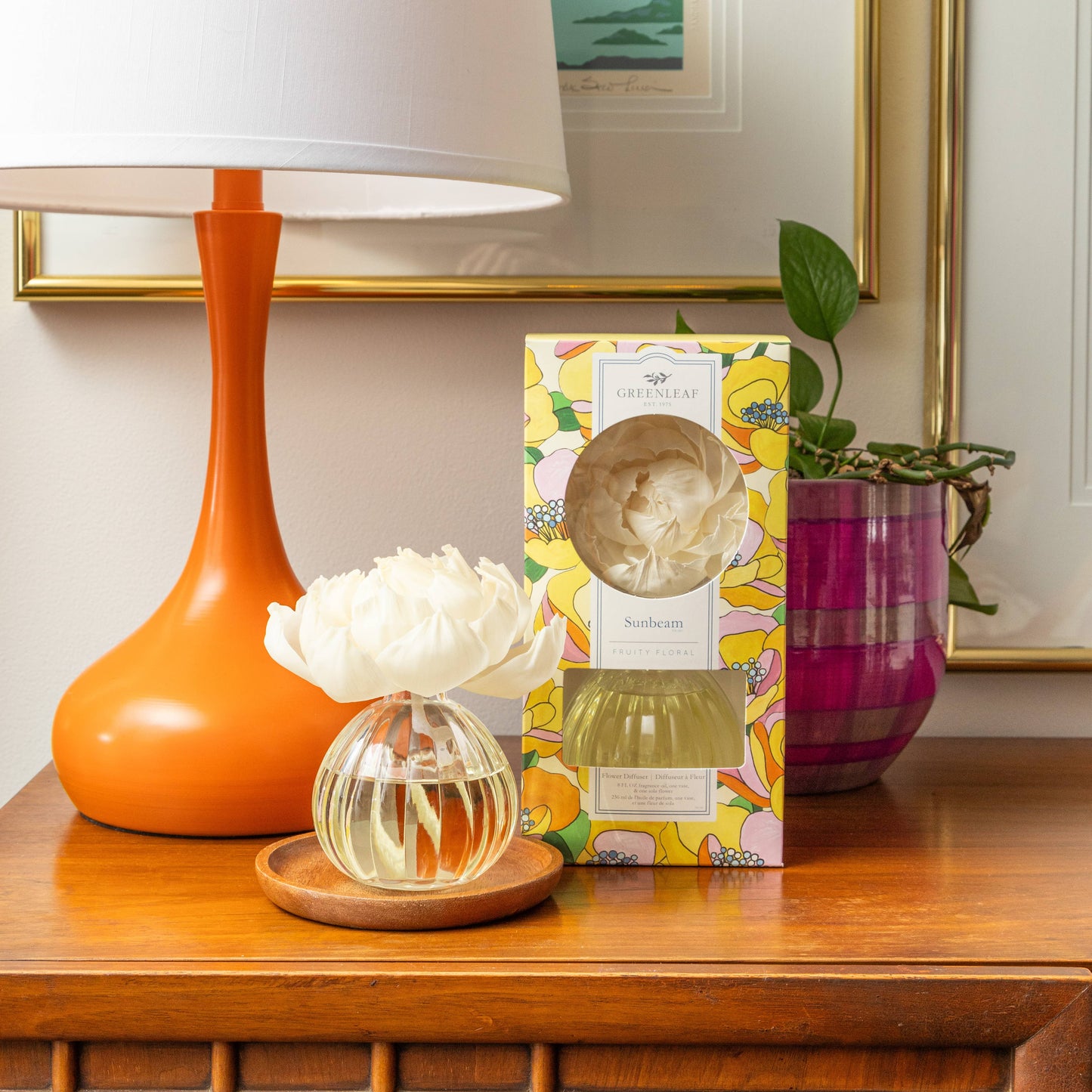 Greenleaf: Sunbeam Flower Diffuser