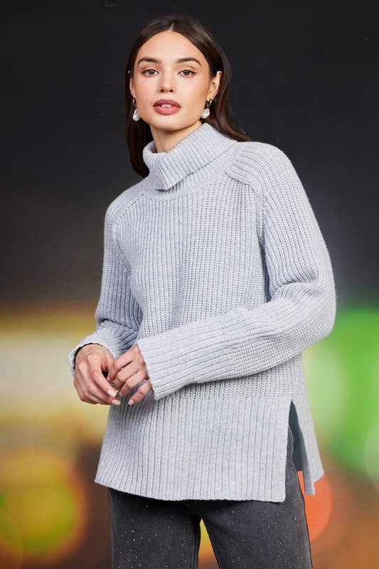 Grey Lady Sweater Top