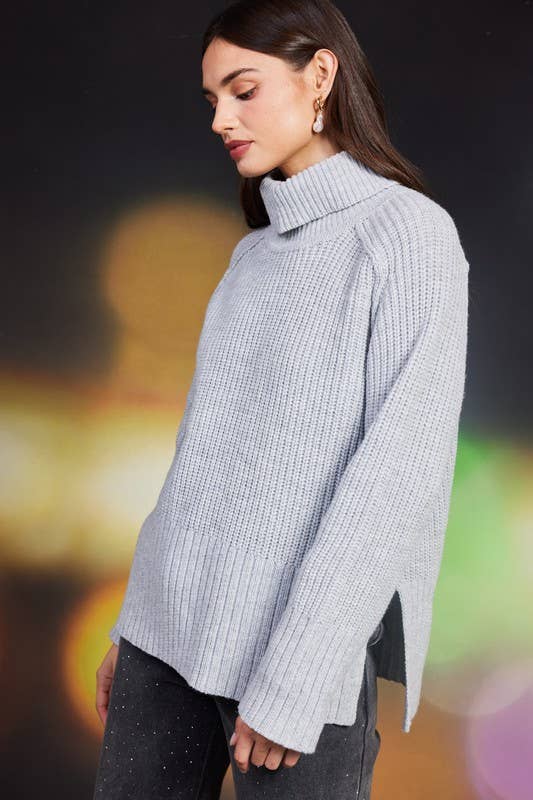 Grey Lady Sweater Top